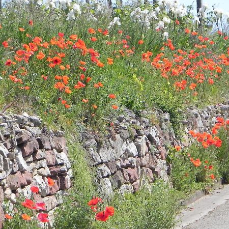 Nid De Cigognes Daire Rosheim Dış mekan fotoğraf