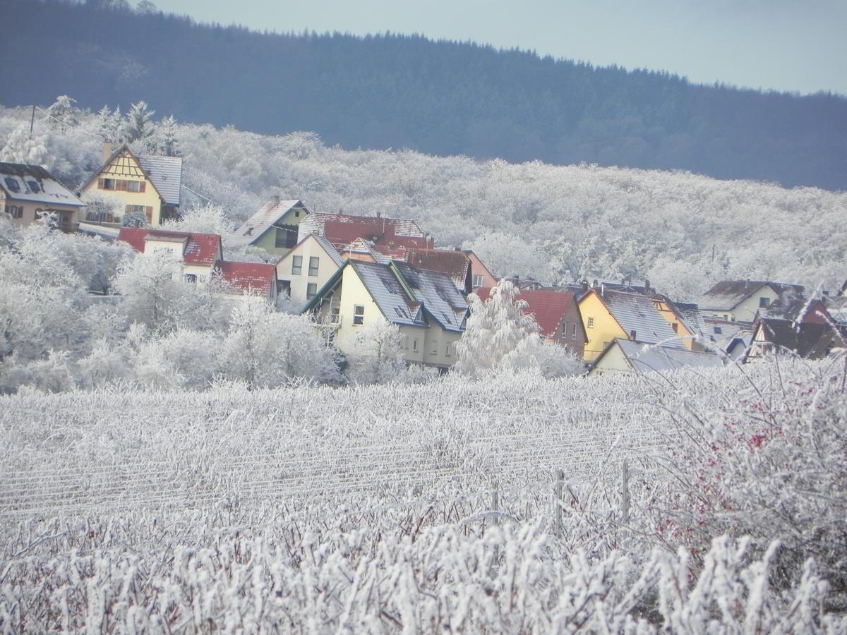 Nid De Cigognes Daire Rosheim Dış mekan fotoğraf