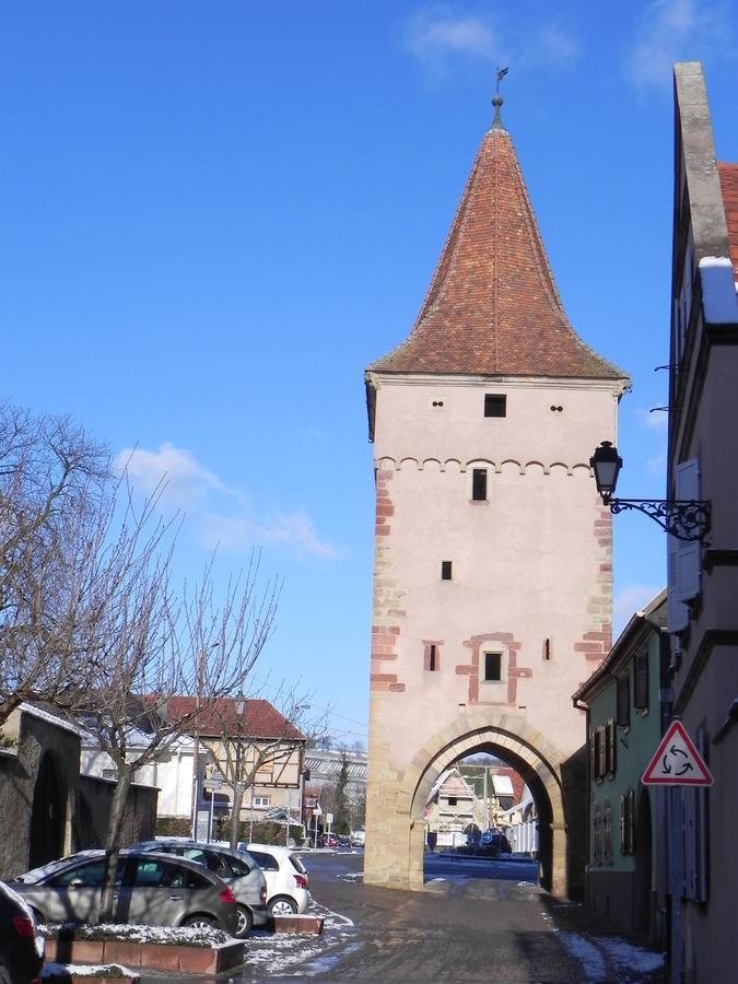 Nid De Cigognes Daire Rosheim Dış mekan fotoğraf