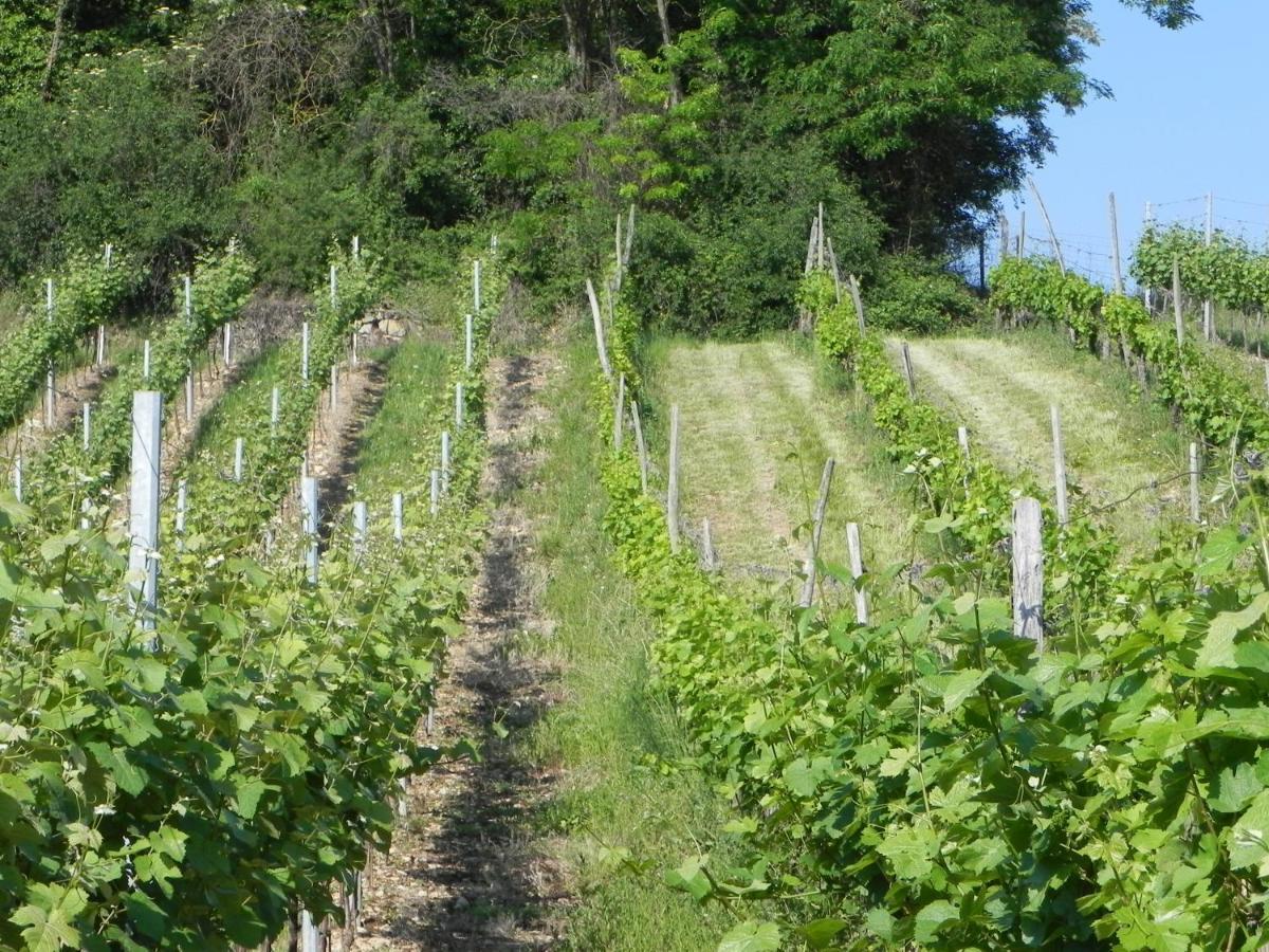 Nid De Cigognes Daire Rosheim Dış mekan fotoğraf