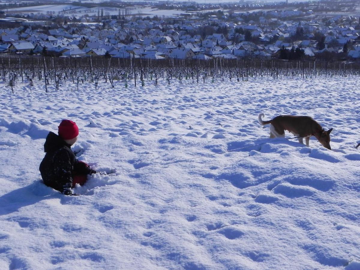 Nid De Cigognes Daire Rosheim Dış mekan fotoğraf