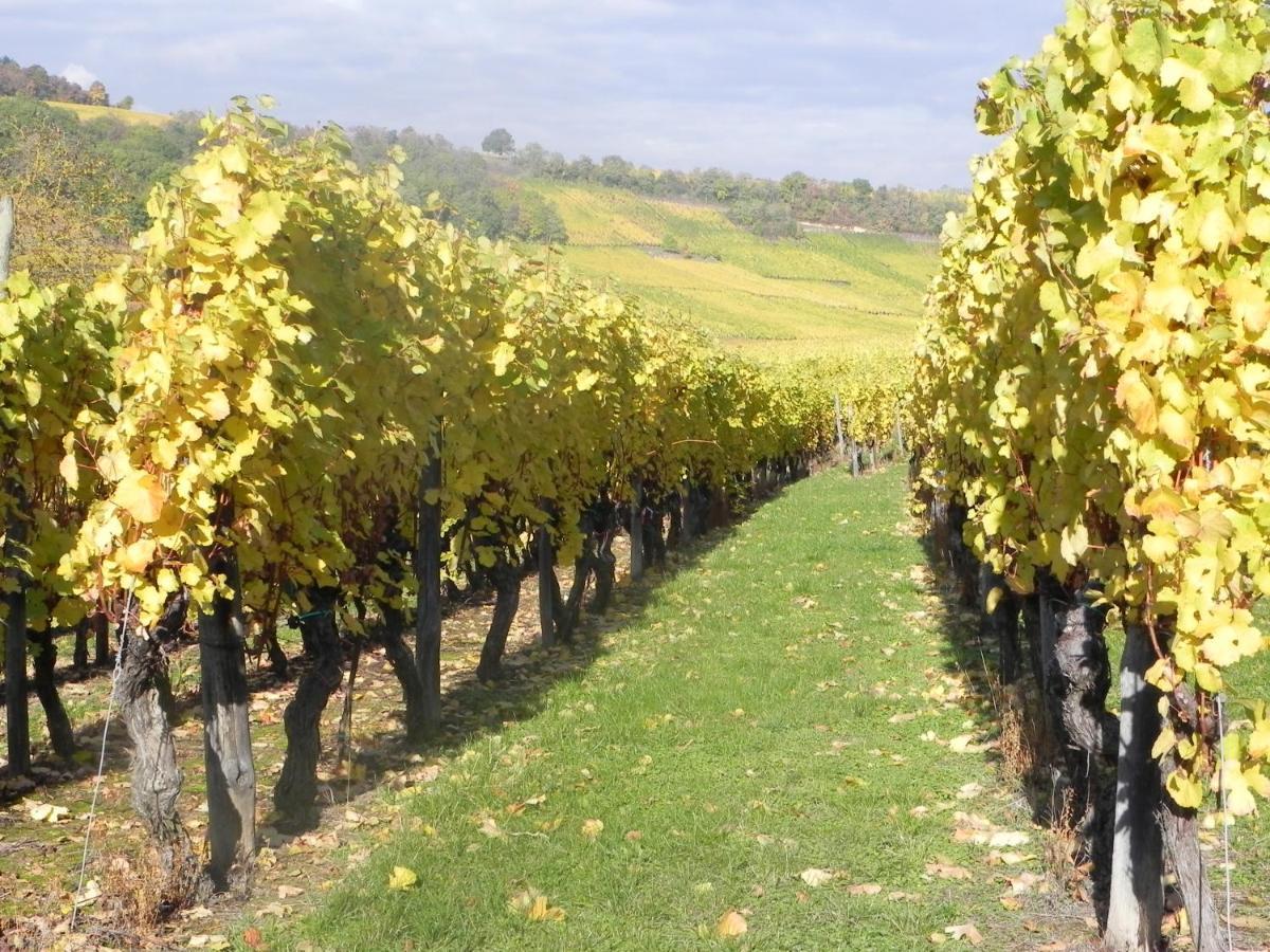 Nid De Cigognes Daire Rosheim Dış mekan fotoğraf